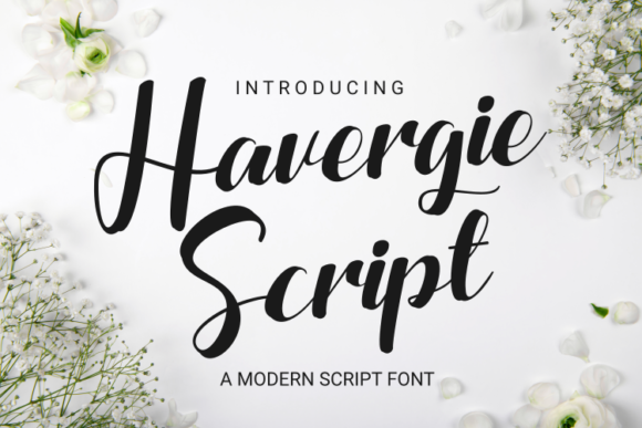 Havergie: The Trendy Script Font for Modern Branding