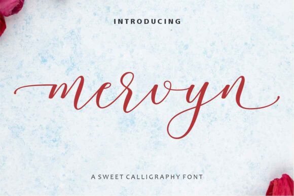 Mervyn: The Calligraphic Script for Elevated Design