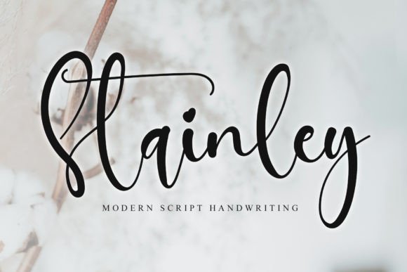 Stainley: A Stylish Script for Modern Branding
