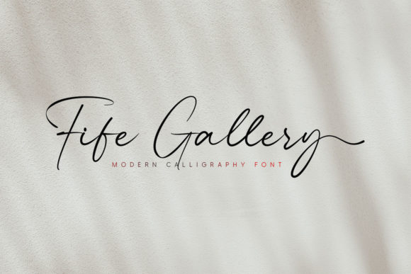 Why Fife Gallery is the Script Font Your Designs Have Been Missing