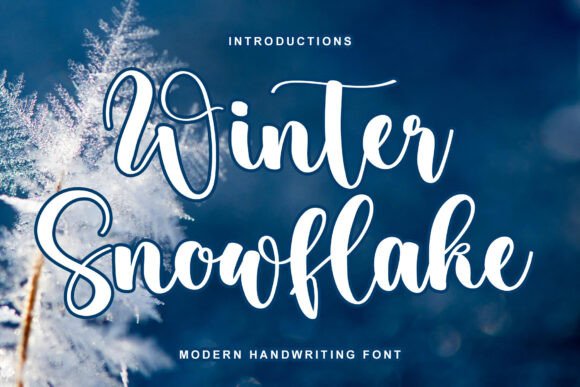 Winter Snowflake: A Script Font for Elegant Designs